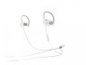 Beats Powerbeats2 Wireless